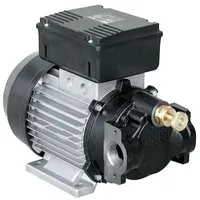 Benza 12/24-10 насос для перекачки масла