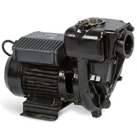 Piusi E 300 насос перекачки дизельного топлива солярки