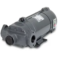 Gespasa AG-800 насос перекачки бензина керосина